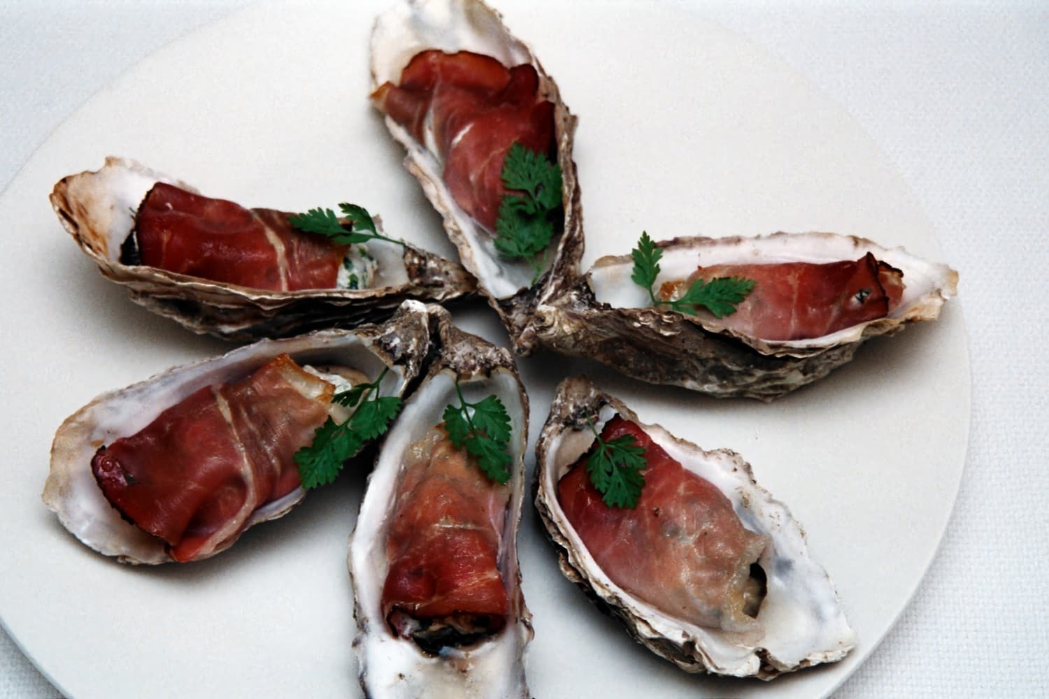 Grilled Oysters with Herb Chevre and Parma Ham