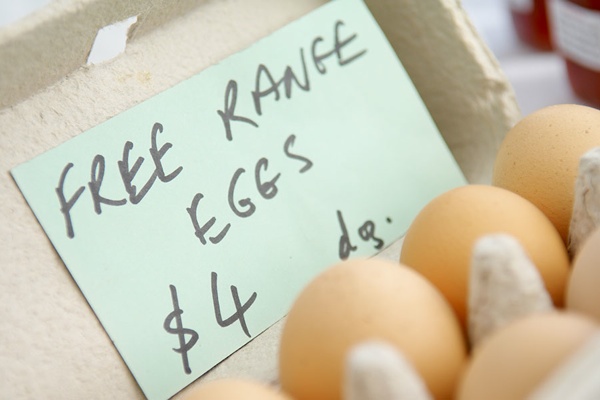 Free-range Eggs are best